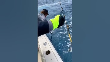 Man overboard gaffing wahoo.