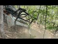 Watch the RCU-120 120HP Beast Crush Stumps &amp; Cedar Trees