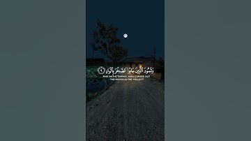 ناصر القطامي سورة الفجر