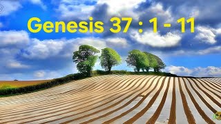 Joseph's Dreams. Genesis 37 : 1 - 11