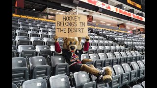 Is It The End for the Arizona Coyotes?