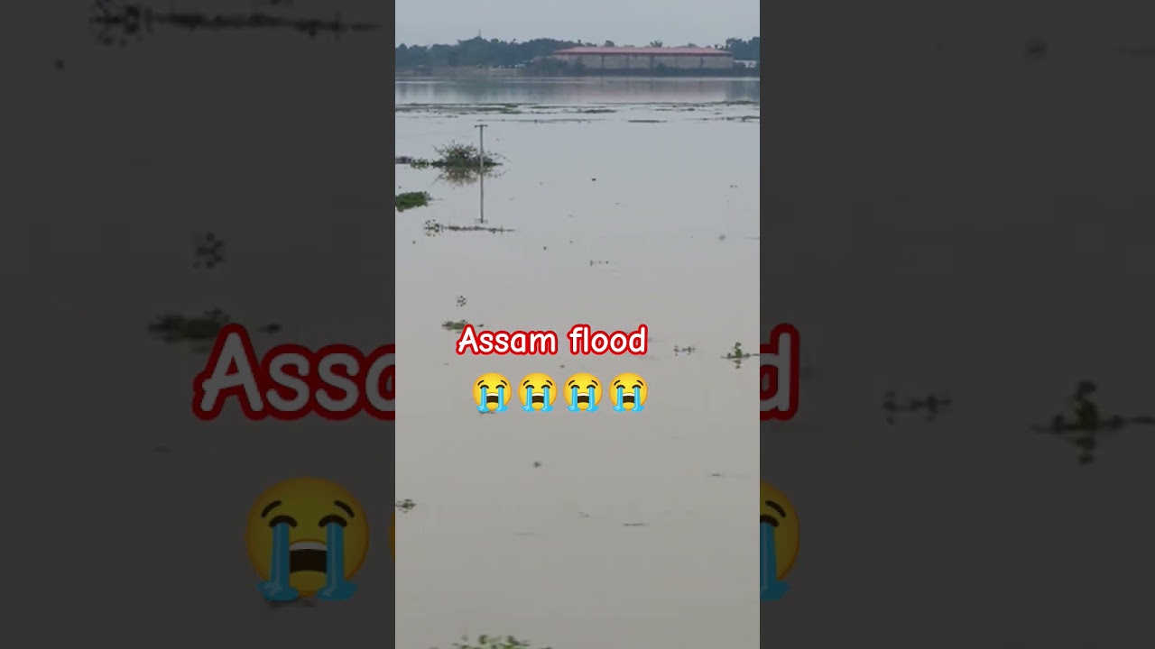 #assamflood