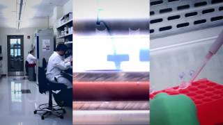 Download Lagu The \ MP3