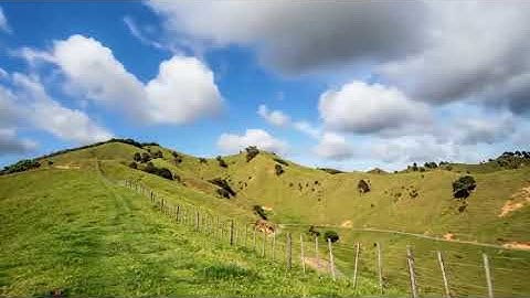 سورة يس بصوت القارئ زياد العبادي