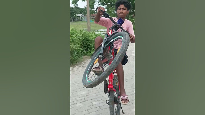 wheeli fat bike