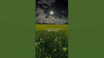 قل الحمدالله دائما،سورة الفاتحة، أستمع للقرآن وتدبر آياته #قرآن #قران_كريم #quran