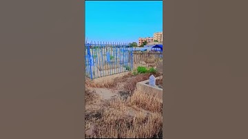 اللَّهُ لا إِلٰهَ إِلَّا هُوَ الْحَيُّ الْقَيُّومُ آیةالکرسی (سوره بقره، آیه 255): #قران