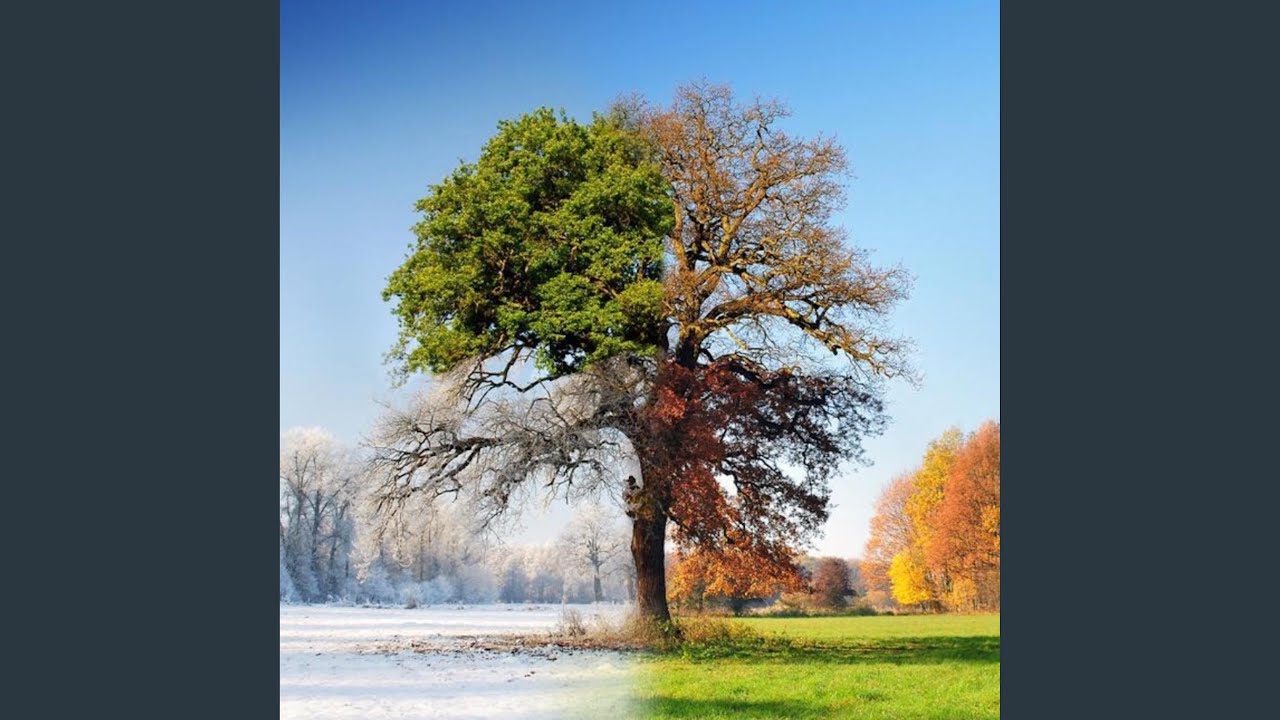 Seasons Change YouTube