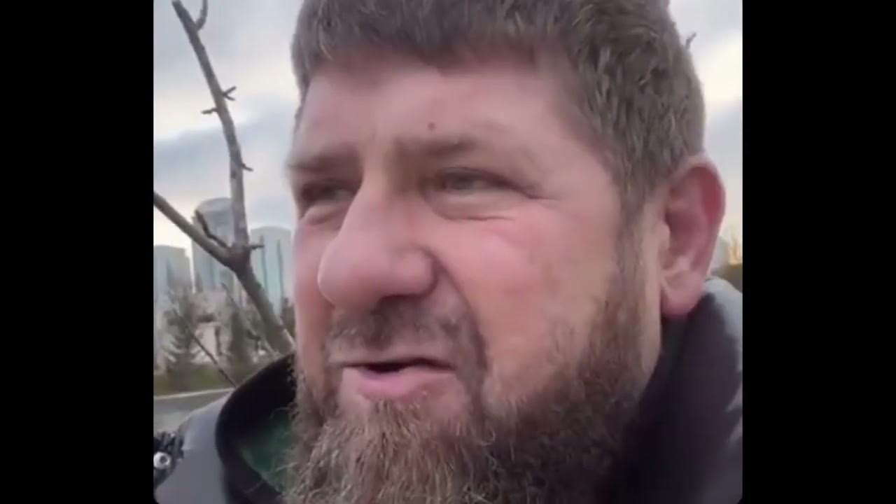 Почему рамзан дон. Рамзан кадыров дон. дон дон кадыров. тихий дон кадыров. полный. беспредел дон кадыров.