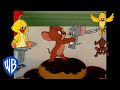 Tom y Jerry en Latino | Los mejores aliados de Jerry 🐭 |  @WBKidsLatino