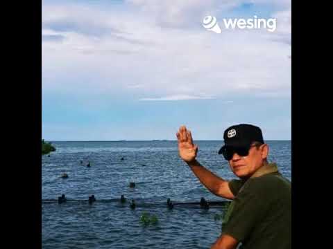 Tito - ku benci kau dengan cintaku