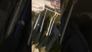IMG 1055