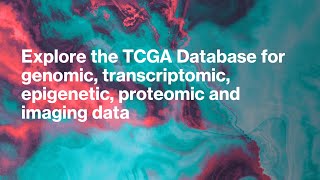 Explore The Tcga Database Genomic To Imaging Data For Cancer Research