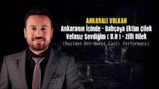 ANKARALI VOLKAN - Ankaranın İçinde - Bahçaya Ektim Çilek - Vefasız Sevdiğim(U.H) - Zilli Dilek Resimi