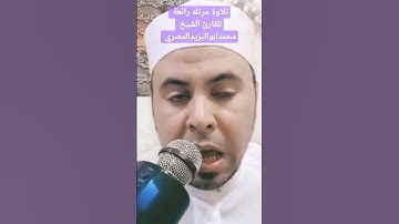 تلاوة مرتله رائعة للشيخ محمد أبو اليزيد المصري