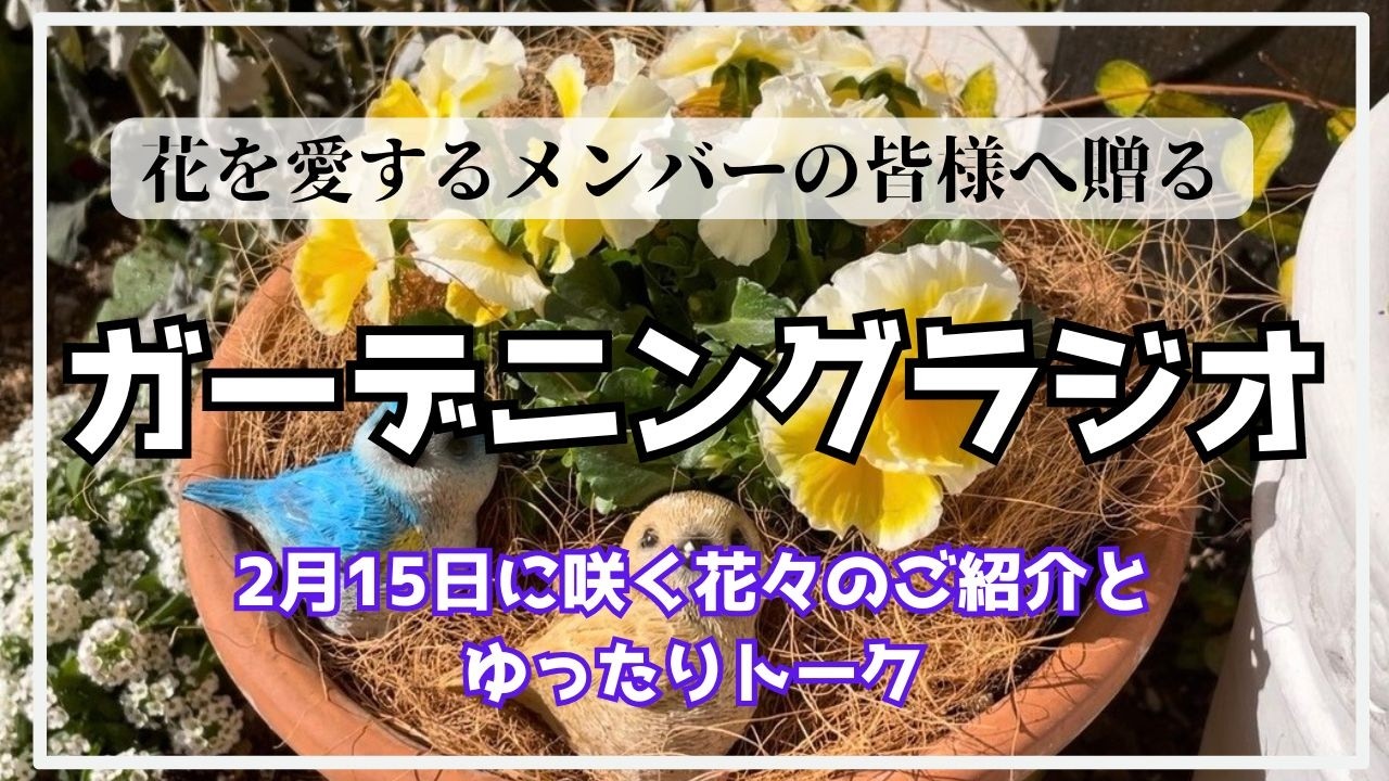 他の方発送✖︎Marcel Dyf『庭園の花』 Membership Video] Birth flower (daisy), recent episode talk