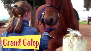 Grand Galop - Une jument capricieuse | Episode Complet | Saison 1 | Episode 7 | Saddle Club Français