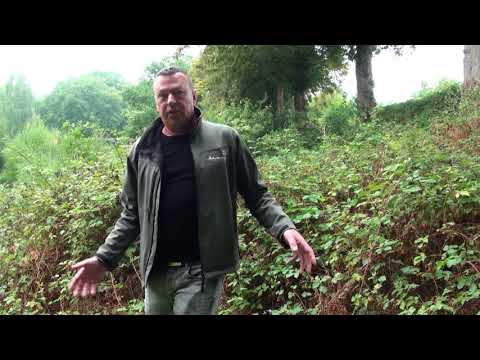 Jaap Dirkmaat Vlog 9 - De eikenzandbij van Berg en Dal
