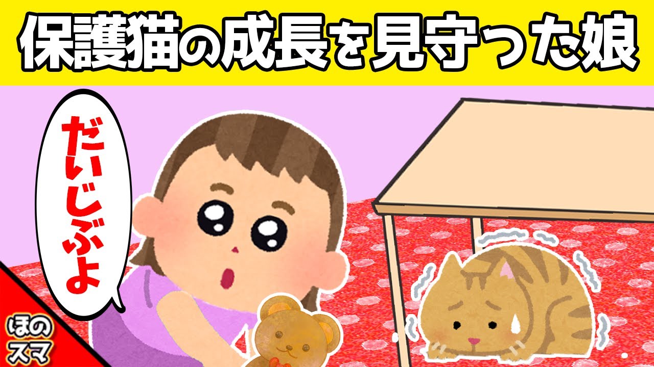 【2chほのぼの】保護猫を引き取って、娘が面倒を見続けた結果www