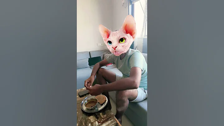 Watch the video about Look what the cat is eating 🐈 #funny #ghoot #cat #catshorts #kitten #crazily #sphynx #mycat #catp...