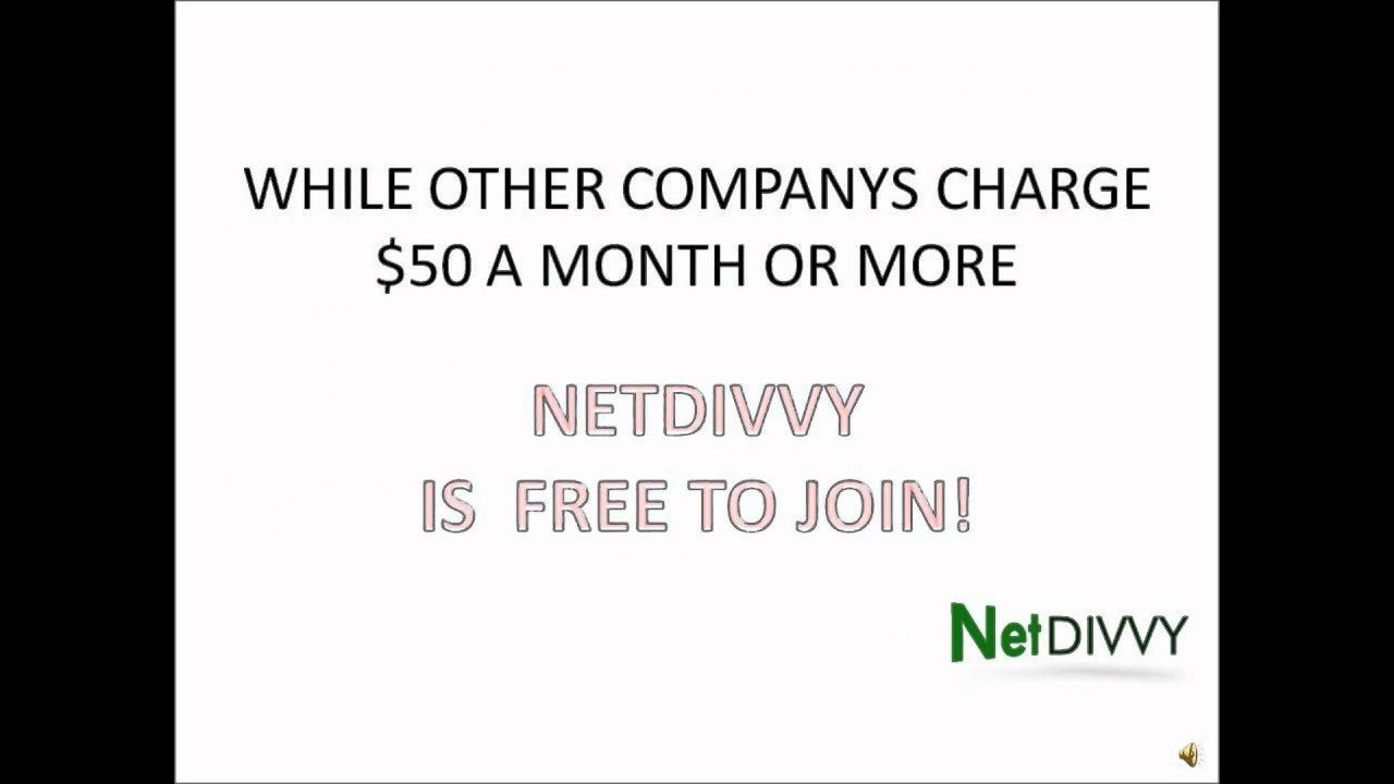 NetDivvy Overview