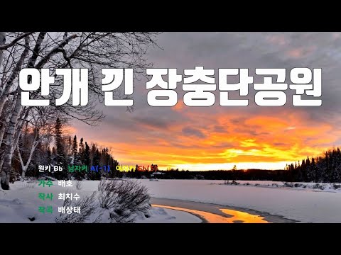 [은성반주기] 안개낀장충단공원 - 배호 /MR/가사