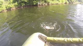 Travis fishing for catfish near Joplin, MO