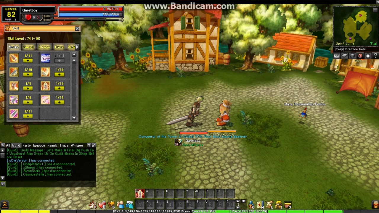 Sieg Ability SkySlash