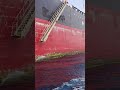 Disembark Using Gang Way ladder🛳️🛳️🛳️#ship #ocean #shortvideo ##trending #food