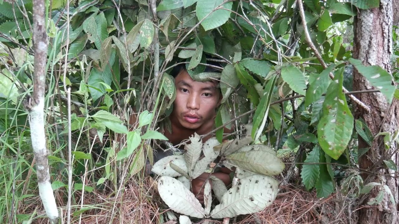 Create Primitive Rope Trap To Catch Bird In The Jungle Very Simple ...