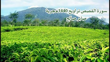 سورة القصص تراويح ١٤٤٠ه‍ـ_ صابر صالح