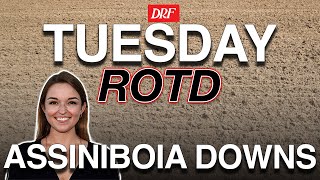 Assiniboia Downs Race 5 on Tuesday, May 27, 2025 | DRF ROTD