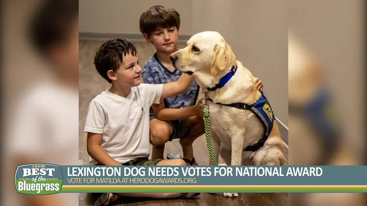 Lexington dog is finalist in American Humane Hero Dog Awards