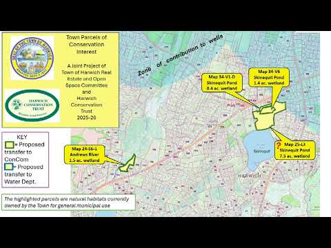 Failing 2019 alum treatment prompts $138,000 Hinckley's Pond diagnostic study proposal