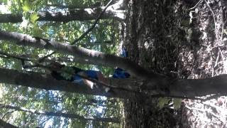 Boston swinger boy