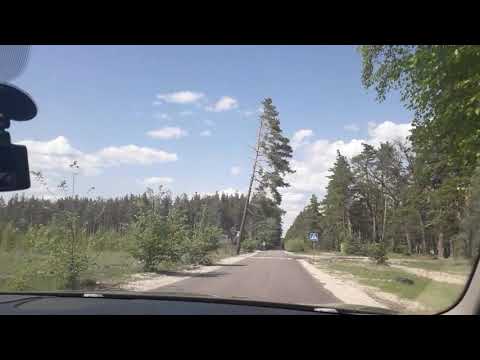 Кемерово тайга на машине