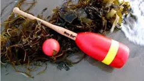 Buoy Sports LLC - The Original Buoy Bat