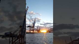 Containerverladung im Hamburger Hafen 25 #work #information #sea #ship #container #news #hafen