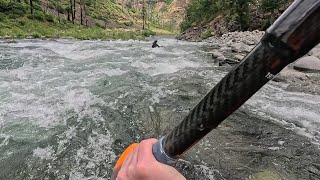 Kayaking the Clackamas River // Hole in the Wall to Moore Creek // 1000 CFS // June 2026