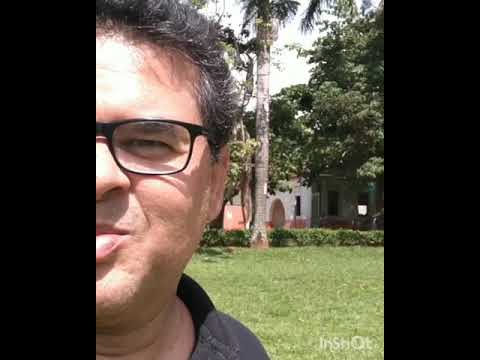 PARQUE DOS DINOSSAUROS
