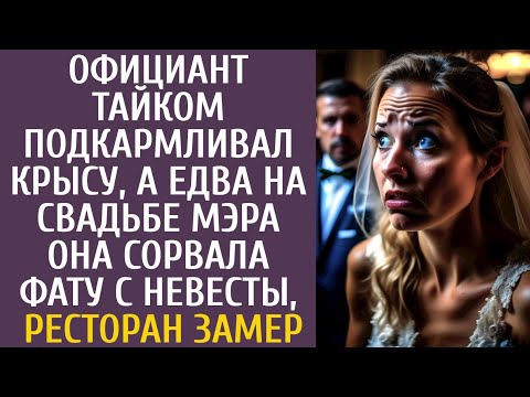 Официант тайком подкармливал крысу… А едва на свадьбе мэра она сорвала фату невесты, ресторан замер