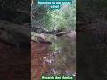lugar incrível #natureza #reflorestamento #meumundoazul