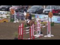 Showjumping - Pony Viewing Trials