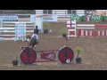Showjumping - Pony Viewing Trials