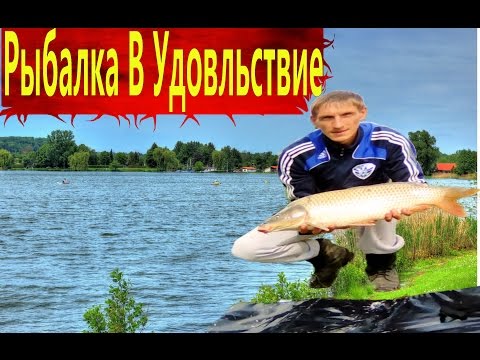 КарпФишинг 15/08/2016 Белгородская