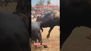 गटय कल Vs गटय घरपकडवडवल मदन ज जपरम द