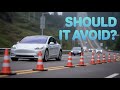 Does Tesla FSD Avoid The Right Objects?