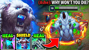 THIS INFINITE HEALING VOLIBEAR BUILD IS HILARIOUSLY BROKEN (150,000 DAMAGE BLOCKED)