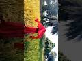 Chalti Huyi Hawa Aur Yeh Haseen Khet 🌾💃 | New Trending Video #shorts