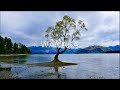 Wanaka, New Zealand -Featuring places to see and restaurants to check out!